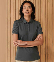 H466 Charcoal Model